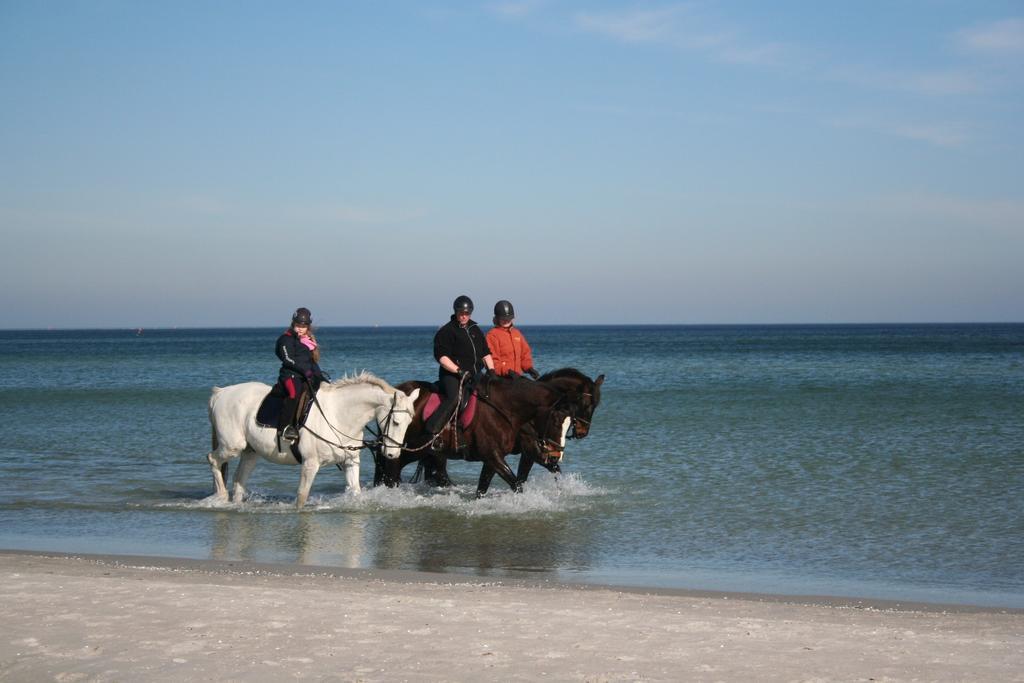 Ferienwohnung Ostseestrand Zingst Habitación foto